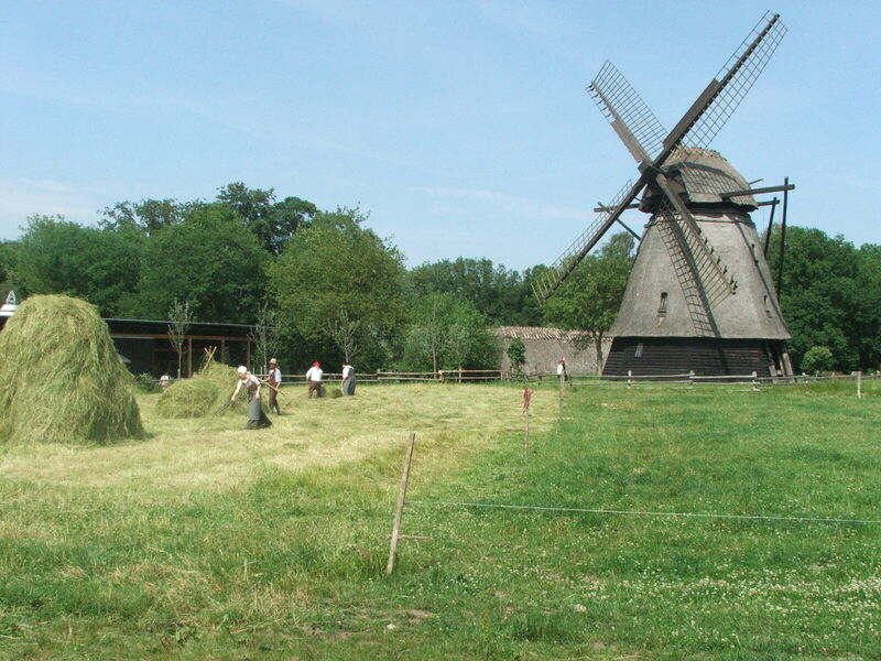 Odense